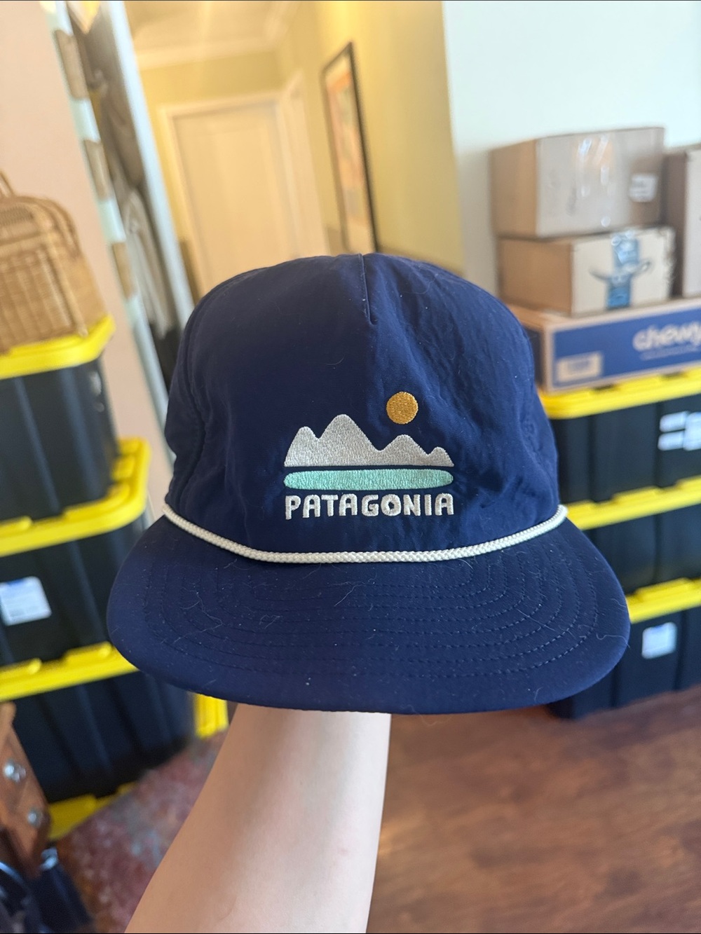 patagonia hat